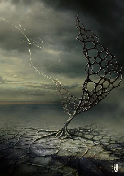 The night wind, 2012
